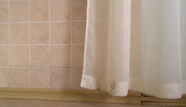 Best Real Estate Mold Inspection  in Matawan, NJ