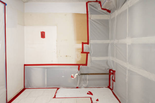 Best Basement Mold Removal  in Matawan, NJ