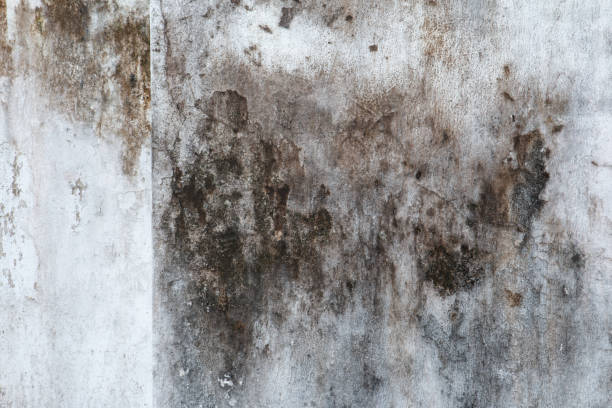 Best Indoor Air Quality Assessment  in Matawan, NJ