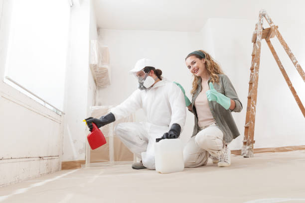 Best Post-Remediation Verification Testing  in Matawan, NJ