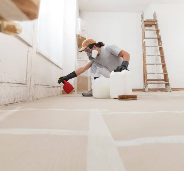 Best Mold Odor Removal Services  in Matawan, NJ